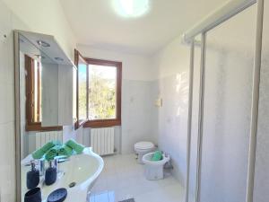 a bathroom with a shower and a sink and a toilet at Villa La Pief - Gardasee by Garda Domus Mea in Tremosine Sul Garda