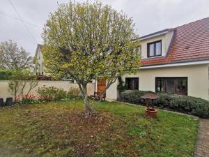 a tree in the yard of a house at Le Chant des Grenouilles in Itteville