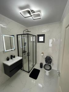 a bathroom with a shower and a toilet and a sink at Cabana AxD in Cotorăşti