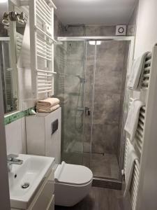 a bathroom with a shower and a toilet and a sink at Ambrozja in Strzelin