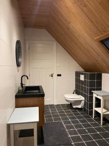 a bathroom with a sink and a toilet at B&B Aan t End in Kootwijkerbroek
