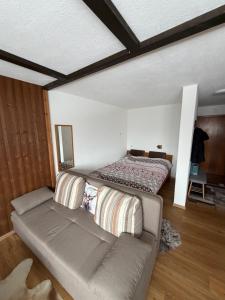 a living room with two beds and a couch at Studio, proche des pistes et des commerces in Vionnaz