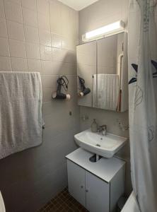 a bathroom with a sink and a mirror at Studio, proche des pistes et des commerces in Vionnaz