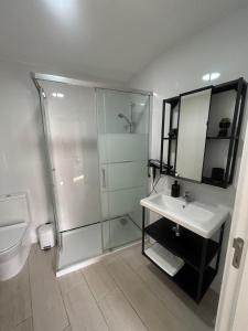 a bathroom with a shower and a sink and a toilet at Encanto do Rio in Bragança