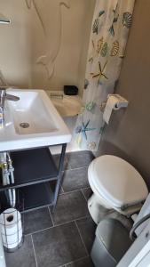 a bathroom with a toilet and a sink at Gezellige, knusse, Stacaravan Banjer in Schoonloo +29 photos