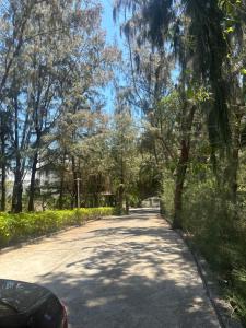 a tree lined road with a car on it at Zenna villa long Hải in Bà Rịa