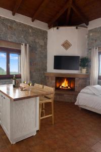 a living room with a fireplace and a bed at Papanestoras Apartments in Kardamyli