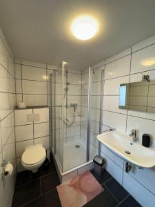 a bathroom with a shower and a toilet and a sink at Ferienhaus am Rad- und Wanderweg in Nerdlen +37 photos
