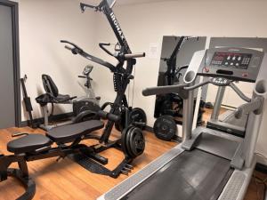 a gym with several exercise bikes and a treadmill at Bras d'Or Lakes Inn in St. Peter's
