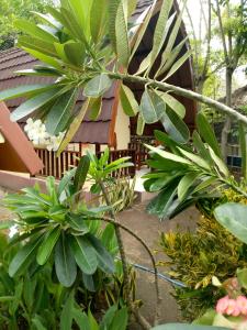 uma casa com um monte de plantas à frente dela em 4R Bungalow em Gili Air