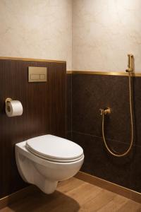 a bathroom with a toilet and a shower at Absolute hostel in Meerut