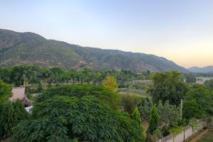 a view of a bunch of trees and mountains at Hotel Pushkar Legacy in Pushkar