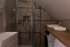 a bathroom with a shower and a sink at Mahne Apartment in Kranj +20 photos