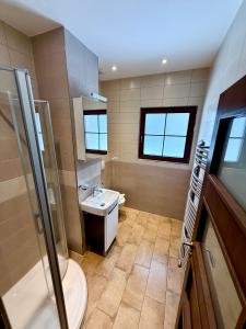 a bathroom with a toilet and a sink and a shower at Jezírko lesní restaurant & penzion in Jáchymov +61 photos