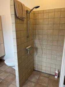 a shower in a bathroom with a toilet at Mosborg Gæstehus in Ulfborg +6 photos