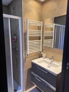 a bathroom with a sink and a shower and a mirror at Le David in Tunis