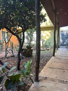 a porch with trees and a wooden walkway at Tu casa Oaxaca... in Oaxaca City