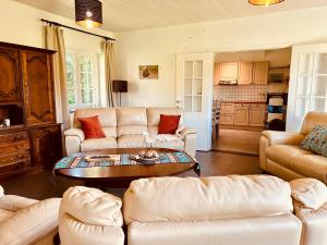 ein Wohnzimmer mit Sofas und einem Tisch in der Unterkunft Unieke vakantiewoning met jacuzzi in de natuur in Het Laar
