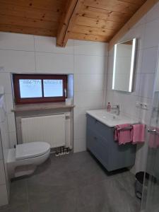 a bathroom with a toilet and a sink and a mirror at Beim Grafen in Frasdorf +46 photos
