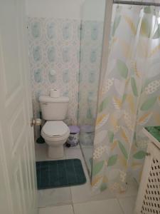 a bathroom with a toilet and a shower stall at MK apartment in Las Terrenas