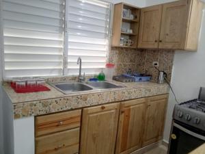 a kitchen counter with a sink and a window at MK apartment in Las Terrenas +4 photos