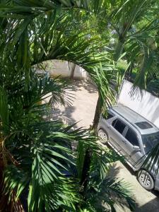 a car parked in a parking lot with a palm tree at MK apartment in Las Terrenas