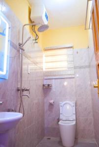 a bathroom with a toilet and a sink at Boripe Hotel And Suites, Oluponna, Osun State in Olupona +33 photos
