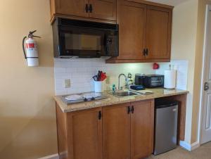 a kitchen with a sink and a microwave at Rustic classic spacious Studio in Vernon Township