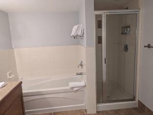 a bathroom with a shower and a white tub at Great Views 2 Bed 2 Bath Updated in Vernon Township +20 photos