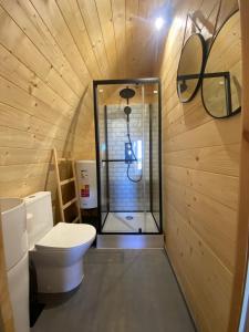 a bathroom with a toilet and a shower at Triarca Vinum House in Sabrosa