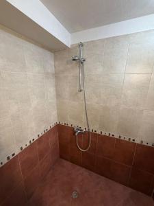 a bathroom with a shower with brown tile at Димоли in Elin Pelin