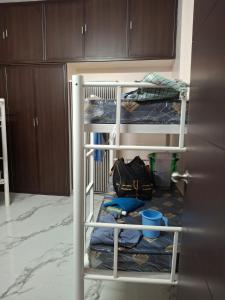a room with two bunk beds with a cat on them at SUMATHY GIRLS HOSTEl in Chennai