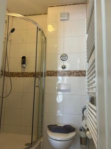 a bathroom with a toilet and a glass shower at Villa Waldblick Baabe in Baabe +20 photos