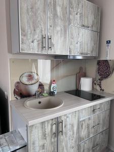 a kitchen with a sink and a bowl on the counter at Straumes apartamenti in Valmiera +2 photos