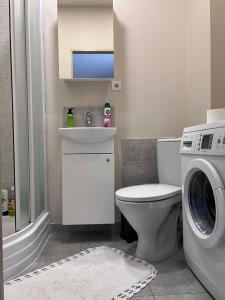 a bathroom with a toilet and a sink and a washing machine at Straumes apartamenti in Valmiera