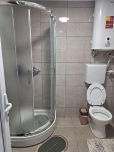 a bathroom with a toilet and a glass shower at King Rooms in Novi Kneževac