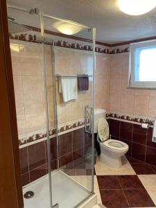 a bathroom with a shower and a toilet at Apartments Ana Kroatien Vodice in Vodice +27 photos