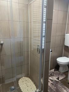 a shower with a glass door and a toilet at King Rooms in Novi Kneževac
