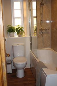 a bathroom with a toilet and a tub and a shower at Alexandra Apartment - stunning view in Oban +16 photos