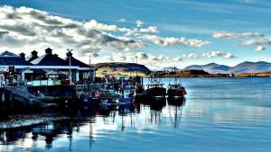 a group of boats docked at a dock on the water at Alexandra Apartment - stunning view in Oban