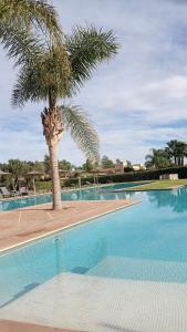 a palm tree next to a large swimming pool at Villa Catalpas in Taroudant