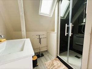 a bathroom with a sink and a shower at Villa Margil in Le Tréport +59 photos