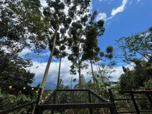 a swing in the jungle with trees in the background at Cabañas La Arboleda in La Vega