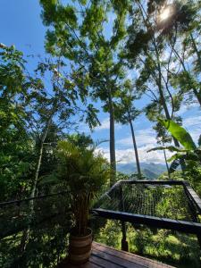 a view of the jungle from the deck of a tree house at Cabañas La Arboleda in La Vega