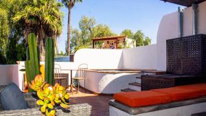 a patio with a cactus and a table and chairs at Casa Callejon in San Miguel de Allende