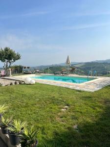 a swimming pool in a yard with green grass at A Casa di Beppe a Monforte dAlba in Monforte dʼAlba