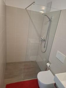 a bathroom with a toilet and a glass shower at B&B Marysol in Arcegno +14 photos