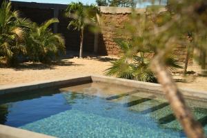 a swimming pool in a yard with palm trees at Baja69 Eco friendly Boutique stay in El Pescadero