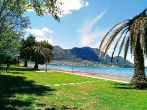 a beach with a palm tree next to the water at ΚΝΗΜΙΣ Apartment in Agios Konstantinos