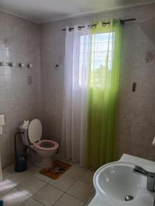 a bathroom with a toilet and a green shower curtain at Haut de Villa Manguier in Petit-Bourg +11 photos